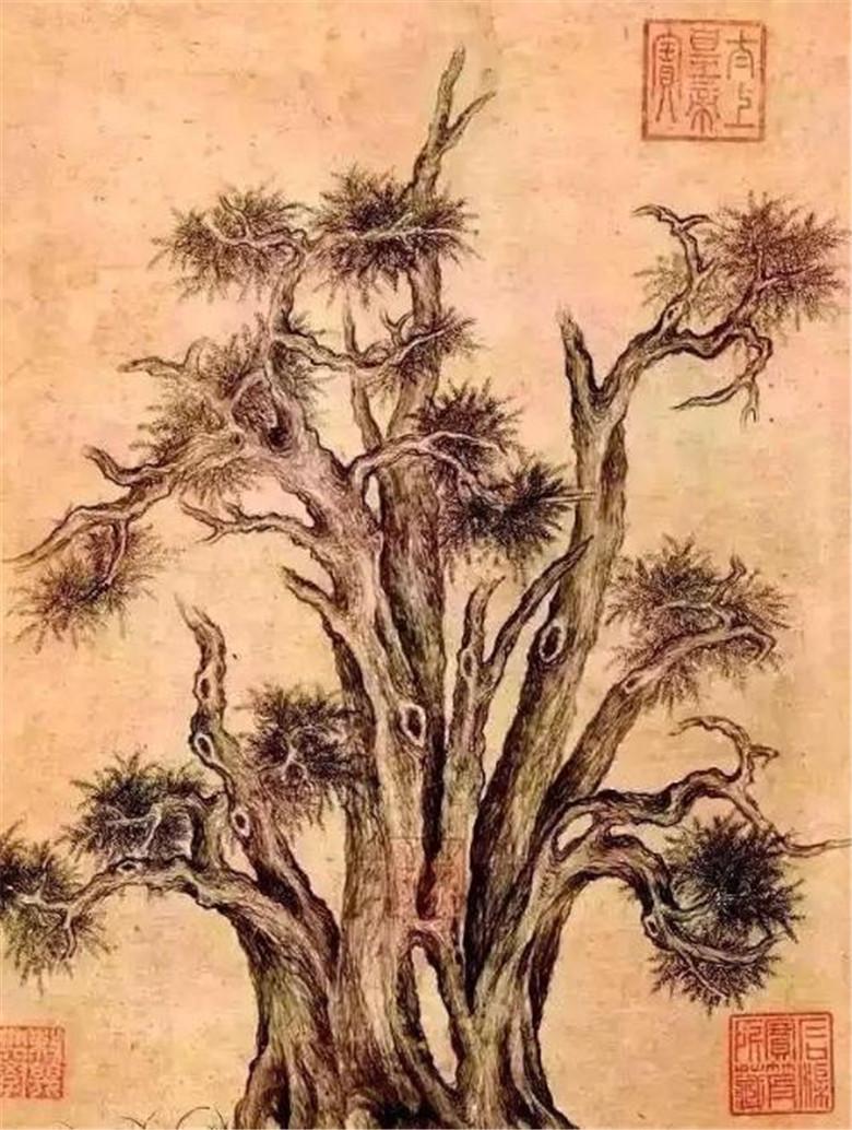 嵩阳汉柏图