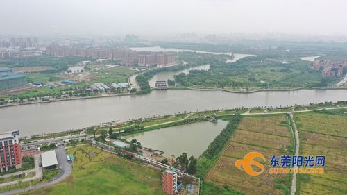 6亿!麻涌华阳湖大桥计划年底动工,两年后建成