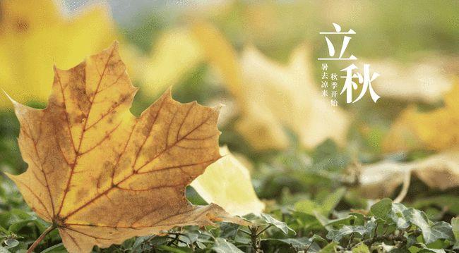 「诗词鉴赏」十首立秋的诗词,惟愿你此生一切安然!