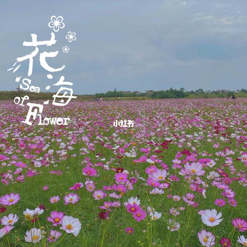 溧阳别桥原乡太美了!_十一去哪玩_花海_别桥原乡旅游