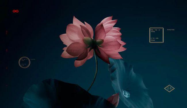 年销30亿国货之光花西子爆红4年凭什么火到国外