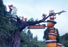 松鼠丛林乐园