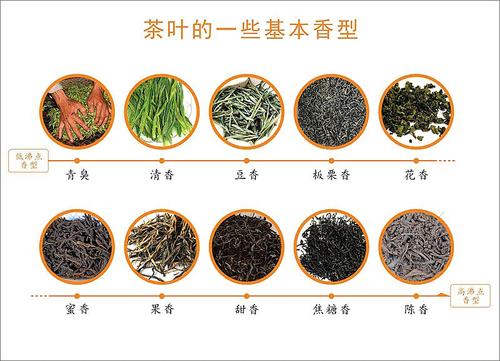 茶叶分类经典六大茶系及9种制茶工艺
