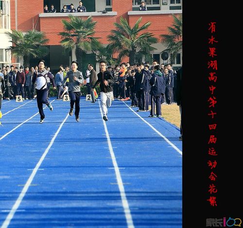 省水果湖高中第十四届运动会花絮