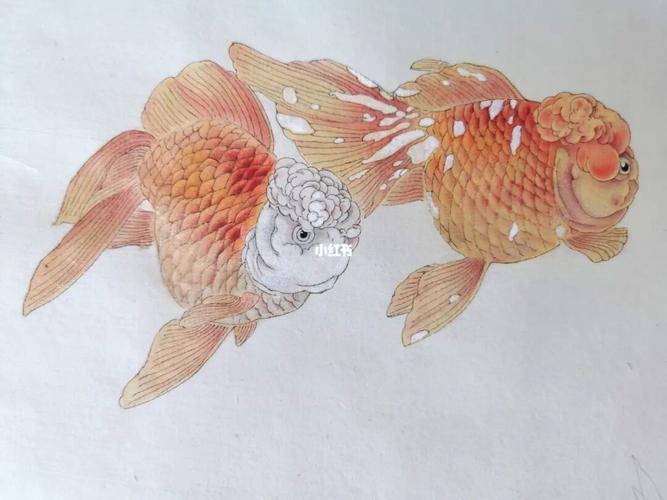 工笔兰寿金鱼_成都攻略_国画_兰寿_文化_绘画