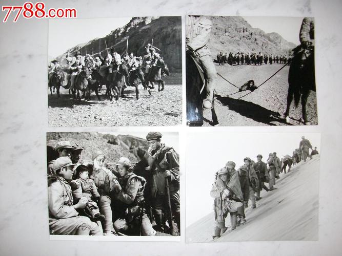 倪萍主演-电影剧照《祁连山的回声》_价格45.