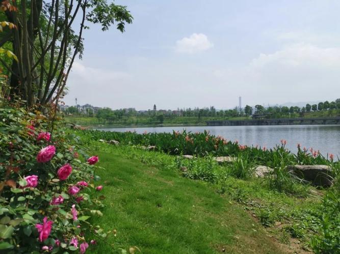 低碳环保的铜鼓湖湿地公园