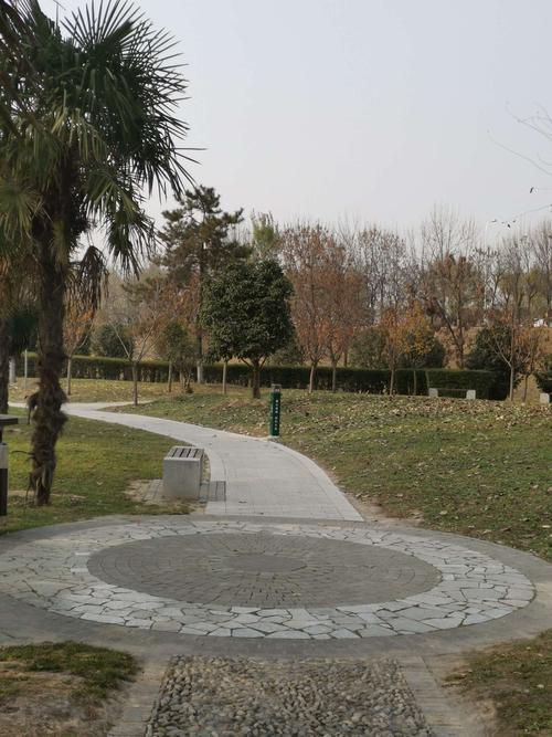 其它 河堤路风光 写美篇 渭河西安段有许多景观,泾渭分明湿地,灞渭桥