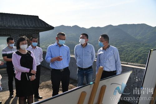 颜伟调研鸡冠石镇纳溪沟片区时强调 坚持规划引领 科学开发 高品质