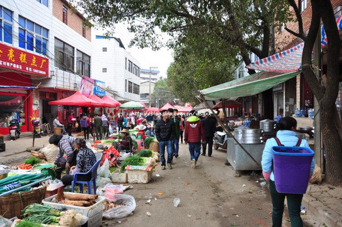 2016 云南蒙自 芷村镇