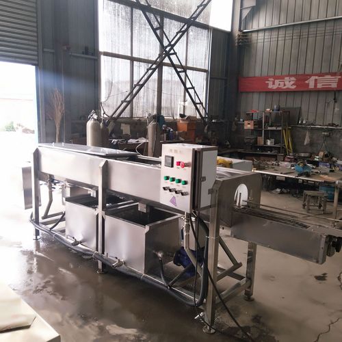 水杯清洗机 单轨道玻璃杯刷杯机 全自动功夫茶杯子清洗烘干机器