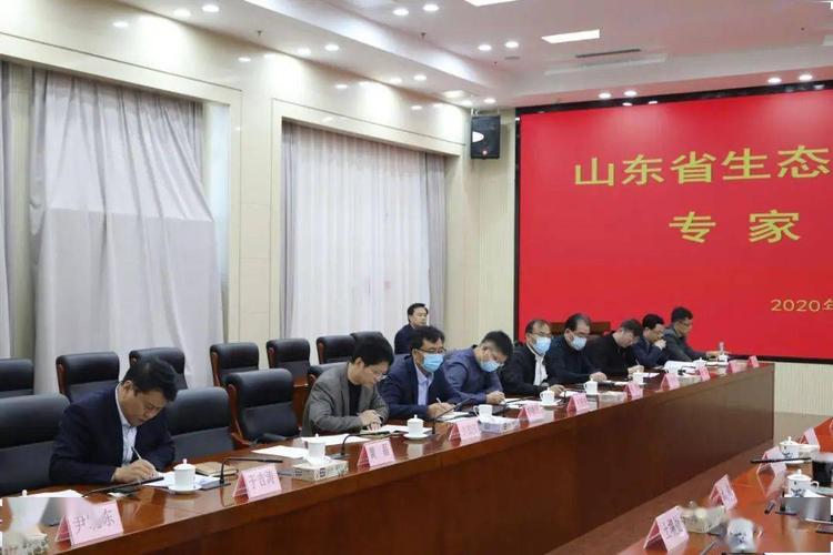 山东省生态环境厅召开生态环保产业发展专家研讨会