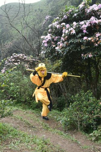 孙悟空从花果山回到鸡笼顶赏花游玩!