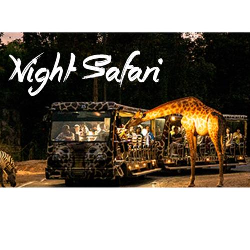 night safari with tram ride