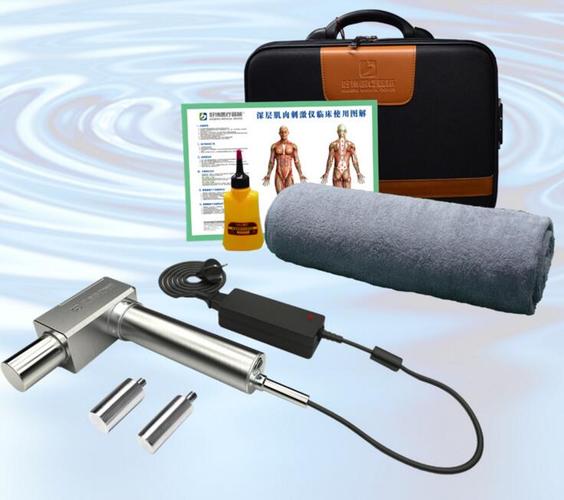 深层肌肉刺激仪dms100型/dms200型