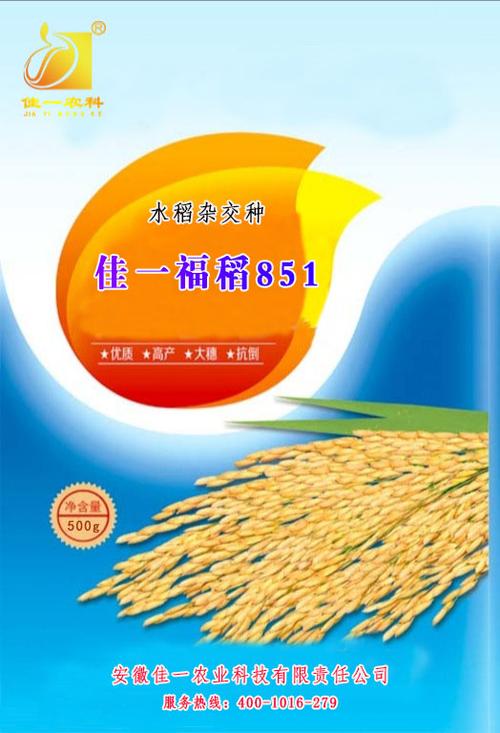 佳一福稻851安徽佳一农业科技有限责任公司