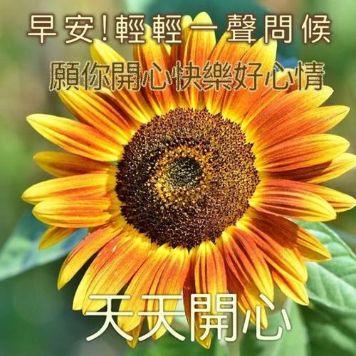 早上好的图片 早上好问候语温馨句子
