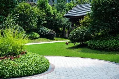 园林植物配置的基本要素,不要再乱花冤枉钱了!