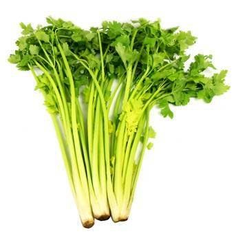  p>黄心芹是 a target="_blank" href="/item/伞形科/8249341" data