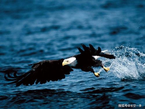 【li changkong】