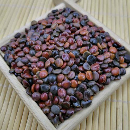 枳椇子木蜜枳椇批发零售冷背中药材