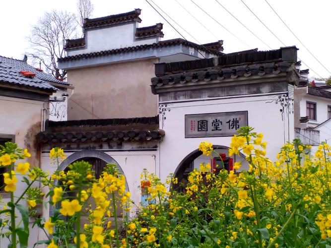 再次探访蜀源村