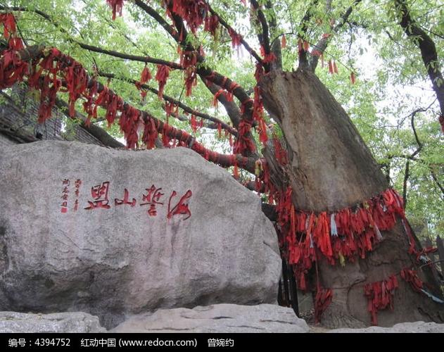 海誓山盟许愿树