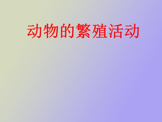 动物的繁殖活动