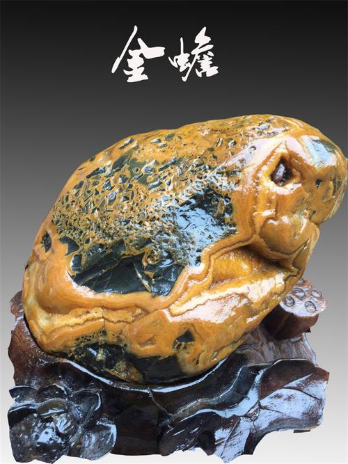 《金蟾》
