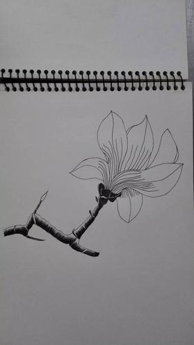 素描画室"每周一画"第5期