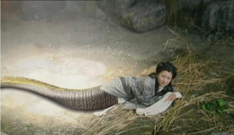 同样是女娲后人,青儿和灵儿都是人身蛇尾,她为何整体都是蛇身?