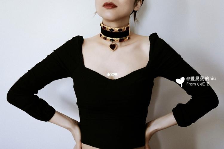 殿堂级神仙lacroix宝石丝绒chocker_chocker_宝石_配饰_中古_克里斯汀