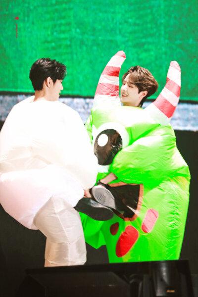 博君一肖丨陈情令泰国演唱会