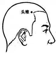 头维:额角发际上0.5寸.