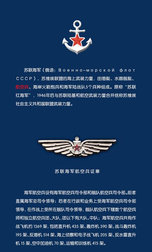 苏联海军航空兵奖章红旗十月革命列宁海航飞行员证章送男友礼物 铜色