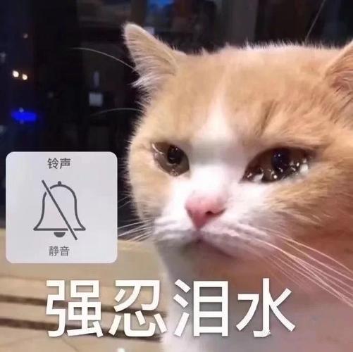 沙雕猫狗表情包:没有困难的工作,只有勇敢的狗狗