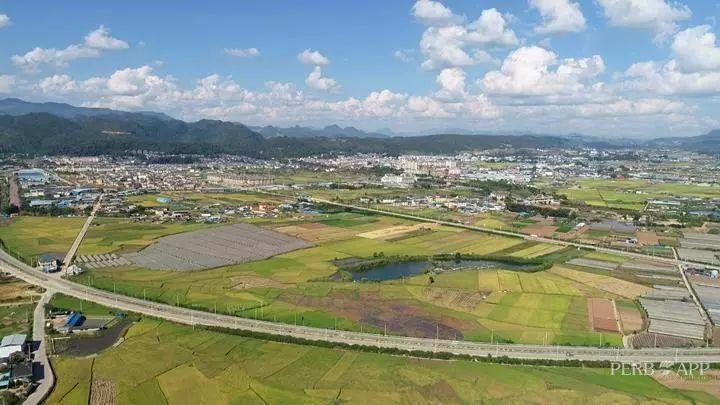 连日来, 成方连片的金色稻田 成为孟连县一道特别的风