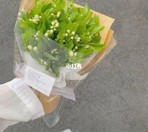 男朋友生日应该送什么花_男朋友_生日_花语_蓝风铃餐厅自由行热门攻略