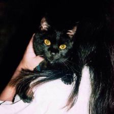 [女生头像] [黑白头像] [病女] [诡异] [半身头像] 季懿苏の