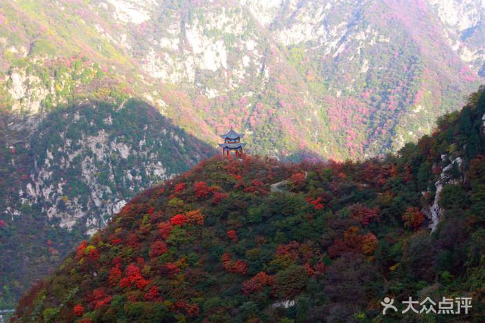 太平万花山景区-图片-户县周边游-大众点评网