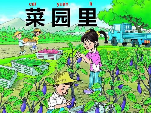 2016-2017年最新人教版小学一年级语文上册一年级语文上册《菜园里》