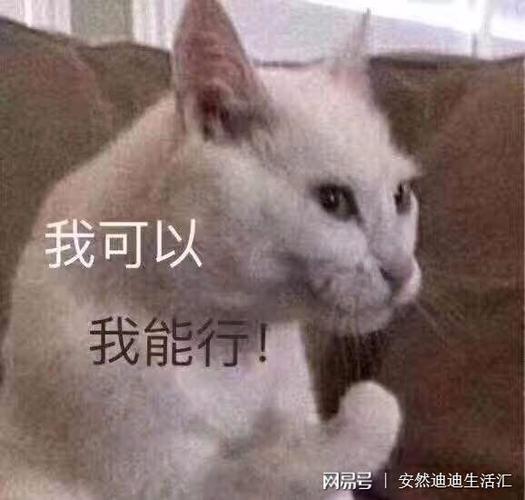振作一点不要示弱早晚一定会苦尽甘来