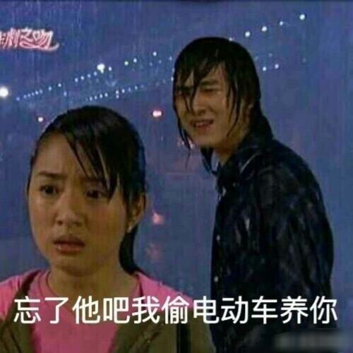 表情包 斗图 聊天 恶作剧之吻 截图 偷电动车养你 鬼畜