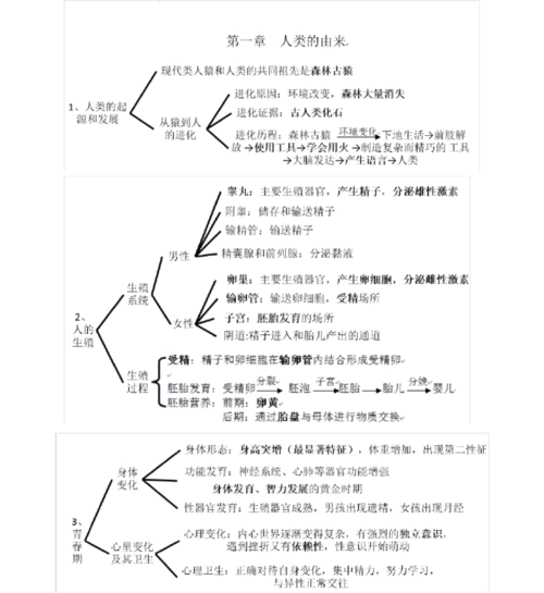 (完整word)人教版七年级生物下册考点(思维导图版).doc
