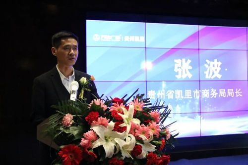 (凯里市商务局局长张波发表致辞)