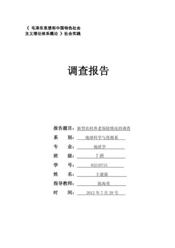 调查报告封面样式