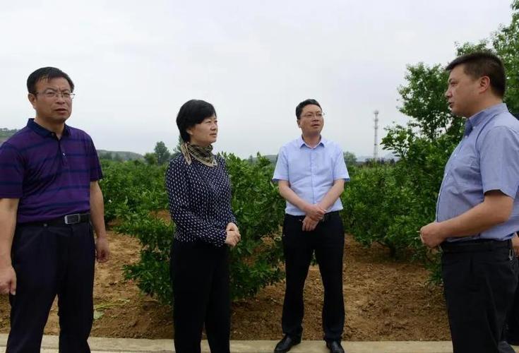 县委书记刘莉带队赴扶风平利城固三县考察学习脱贫
