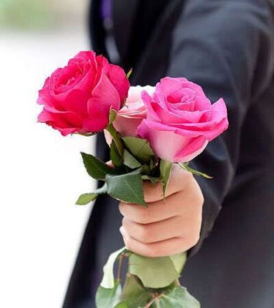 玫瑰 插花 #摆件 # 捧花#或许你会想起我,像想起一朵永不重开的花朵