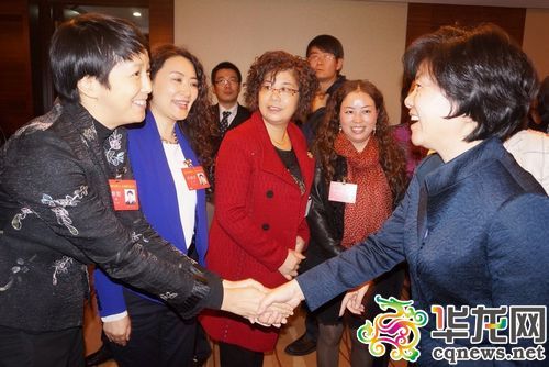 全国人大常委会副委员长,全国妇联主席沈跃跃看望重庆代表.