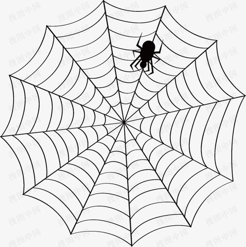 搜图中国提供独家原创矢量蜘蛛网下载,此素材图片已被下载2334次,被
